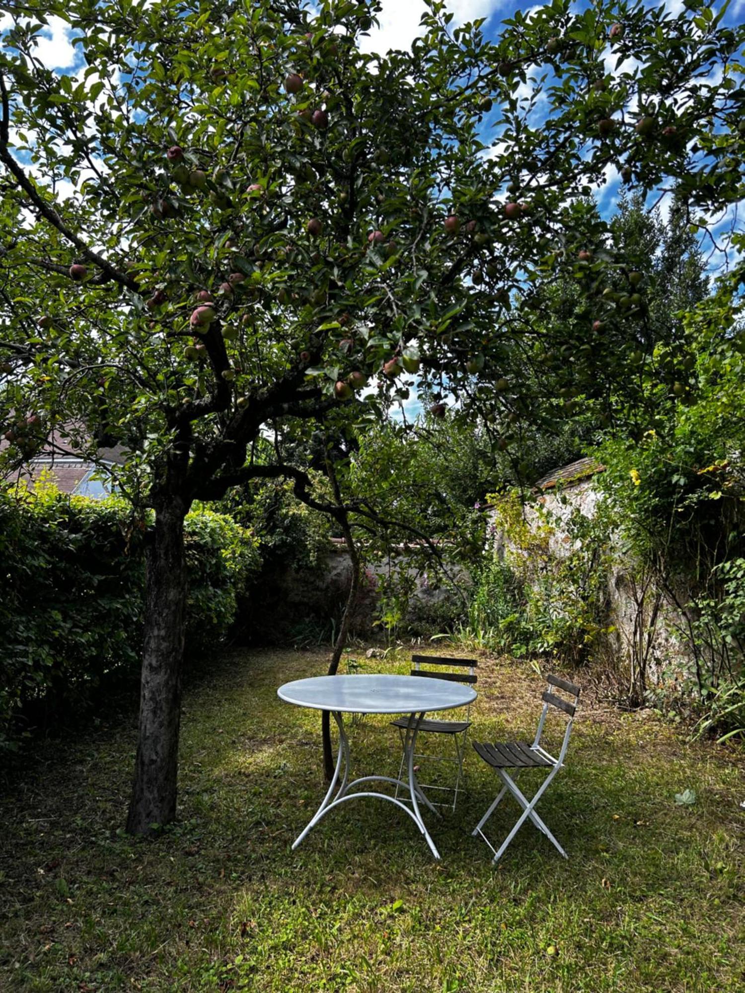 La Maison Des Graviers Nogent-sur-Seine Bagian luar foto
